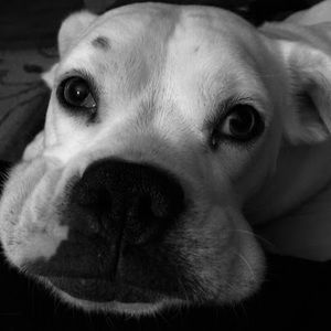 Meet your Posher, Kellie